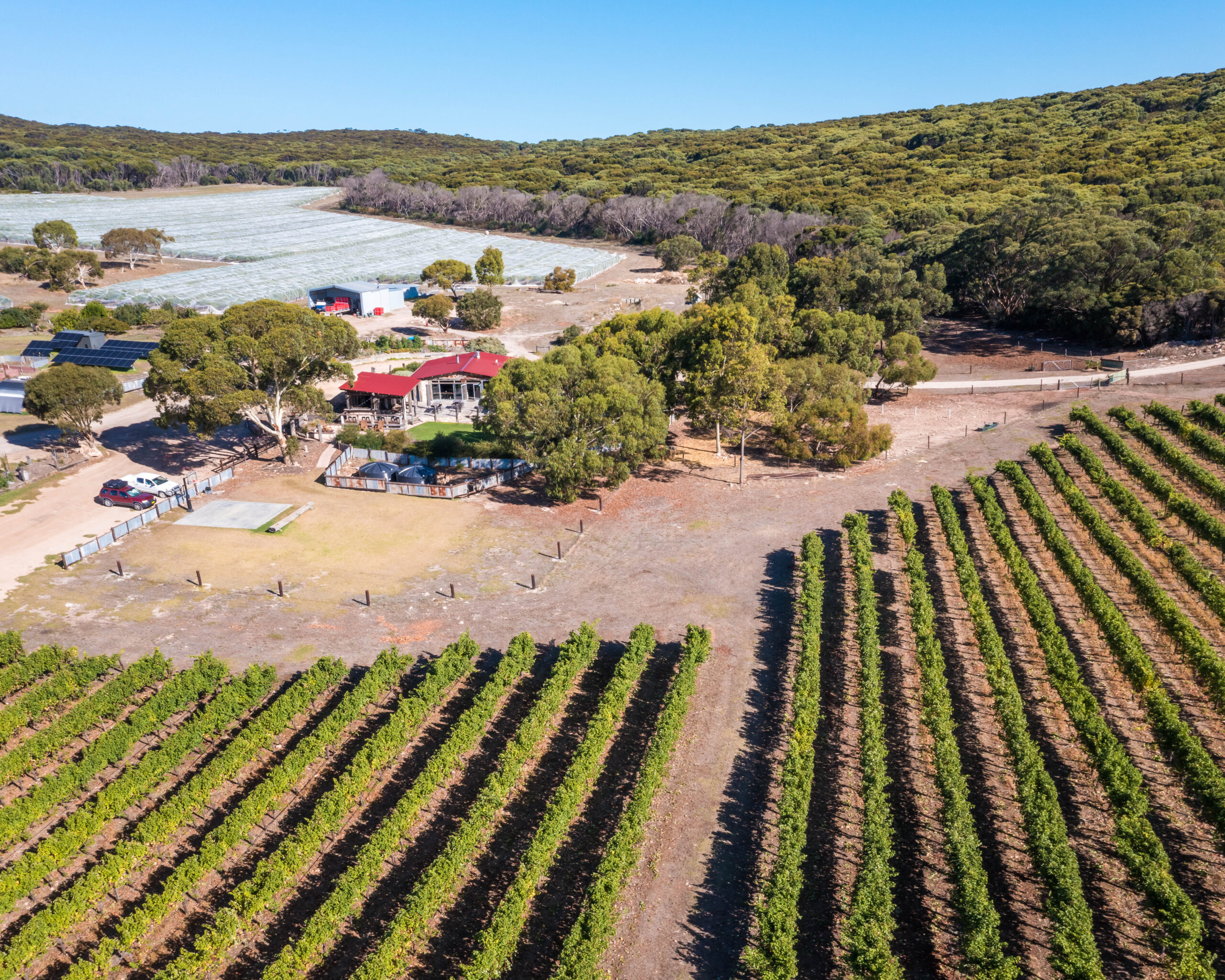 DJI_0408-Pano